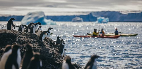 Antarctica_©_David_Merron_Quark_Expeditions