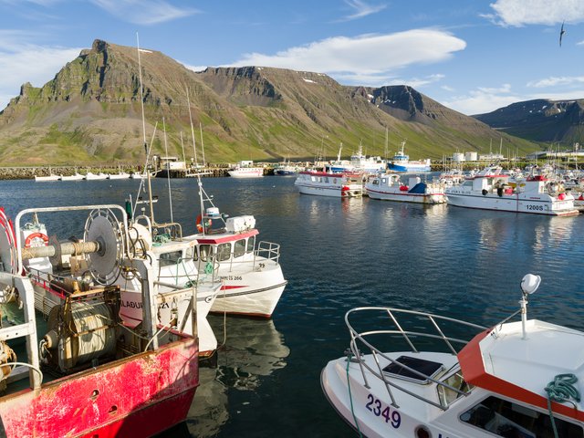 Der Hafen von Bolungarvik. Die Westfjorde (Vestfirdir) von Island_©_Martin_Zwick_Naturfoto