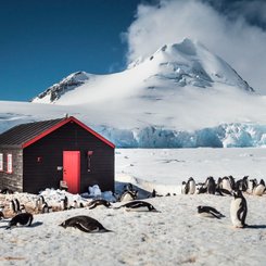 Port_Lockroy_Antarctica_©_Dietmar_Denger_Oceanwide_Expeditions