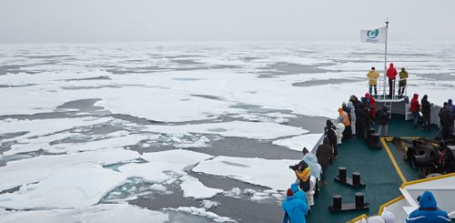 Spitsbergen_Packice_towards_Northeast_Greenland_August_©_Michael_Lohmann_Oceanwide_Expeditions