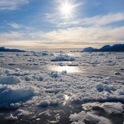 Groenland_Sermilik_Eisfjord_©_Martin_Zwick_Naturfoto