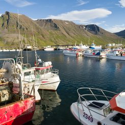 Der Hafen von Bolungarvik. Die Westfjorde (Vestfirdir) von Island_©_Martin_Zwick_Naturfoto