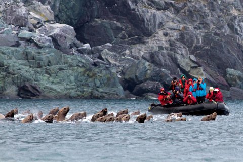 Russias_Ring_of_Fire_Stellers_Sea_Lion_Zodiac_©_M_Kelly_Heritage_Expeditions