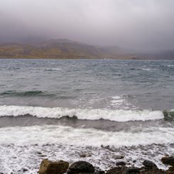 Island_Westfjorde_2022_Brandung_©_Martin_Zwick_Naturfotografie