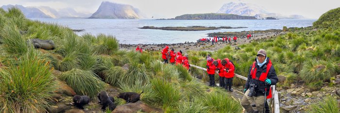 Prion_Island_South_Georgia_©_Filip_Kulisev_Poseidon_Expeditions