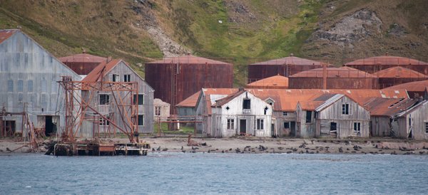 Grytviken_South_Georgia_©_Erwin_Vermeulen_Oceanwide_Expeditions