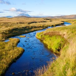 Moedrudalur_Nord_Island_©_Martin_Zwick_Naturfotografie