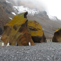 Brown_Bluff_©_Sanneke_van_der_Sanden_Oceanwide_Expeditions