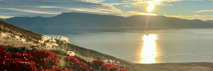 Kap_Ovibos_Greenland_©_Adam_Turner_Oceanwide_Expeditions