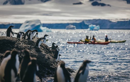 Antarctica_©_David_Merron_Quark_Expeditions