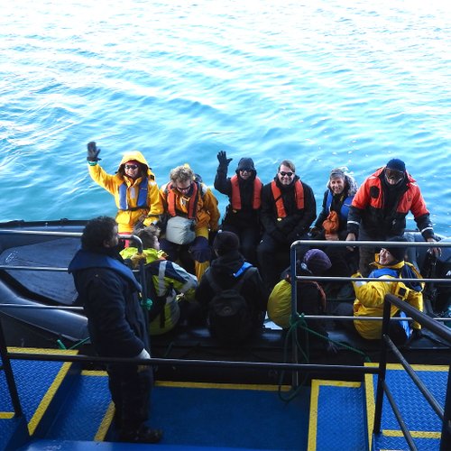 MV_Ushuaia_Zodiacs_Antarctica_©_Antarpply_Expeditions