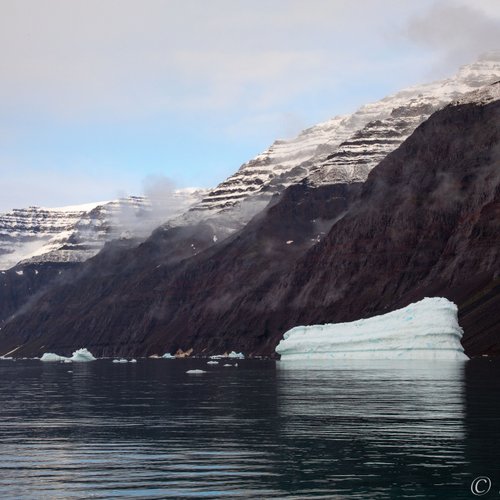 Vikingebugt_©_Sara_Jenner_Oceanwide_Expeditions