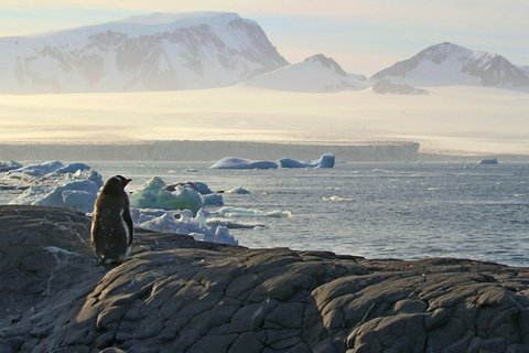 View_to_Erebus_Terror_Gulf_©_Regis_Perdriat_Oceanwide_Expeditions