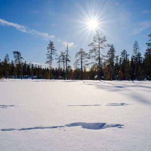 Landschaft_Finnland_Lappland_©_Martin_Zwick_Naturfotografie