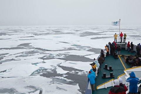 Spitsbergen_Packice_towards_Northeast_Greenland_August_©_Michael_Lohmann_Oceanwide_Expeditions