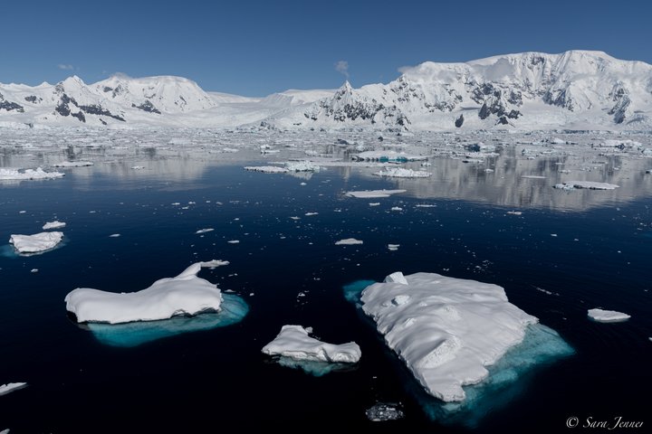 Flandres_Bay_Antarctica_©_Sara_Jenner_Oceanwide_Expeditions