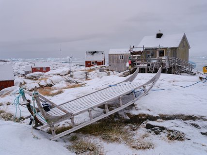 Groenland_Neuschnee_Tinit_©_Martin_Zwick_Naturfoto