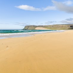 Der Strand von Breidavik. Die Westfjorde (Vestfirdir) von Island_©_Martin_Zwick_Naturfoto