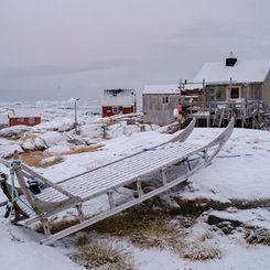 Groenland_Neuschnee_Tinit_©_Martin_Zwick_Naturfoto