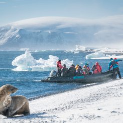 Zodiac_landing_Brown_Bluff_Antarctica_©_Dietmar_Denger_Oceanwide_Expeditions