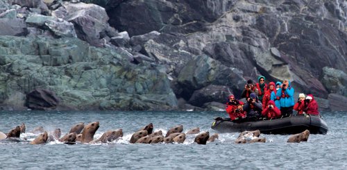 Russias_Ring_of_Fire_Stellers_Sea_Lion_Zodiac_©_M_Kelly_Heritage_Expeditions