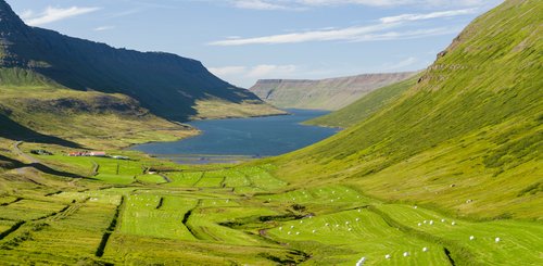 Landschaft bei Sudureyri. Die Westfjorde (Vestfirdir) von Island_©_Martin_Zwick_Naturfoto