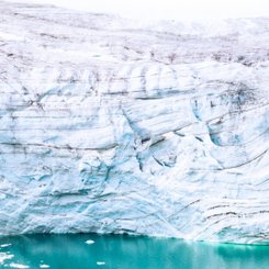 Glacier_Bear_Rudolph_Island_Franz_Josef_Land_©_Ko_de_Korte_Oceanwide_Expeditions