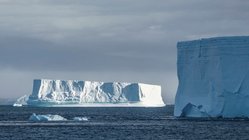 Ice_Weddell_Sea_Antarctica_©_Dietmar_Denger_Oceanwide_Expeditions