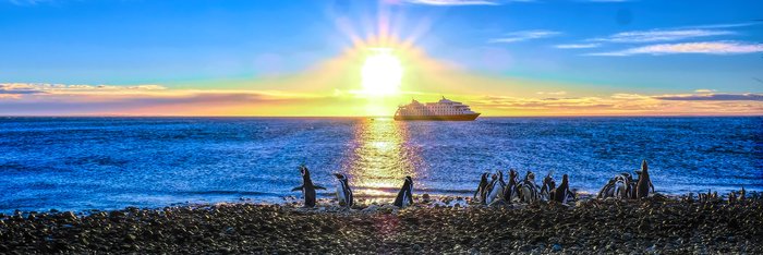 magellanic_penguins_stella_©_Cruceros_Australis