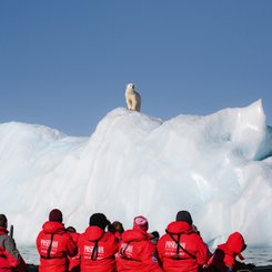 Polar_Bear_Zodiac_Svalbard_©_John_Bozinov_Poseidon_Expeditions