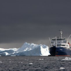 MV_Plancius_Antarctica_©_Robert_van_Kempen_Oceanwide_Expeditions